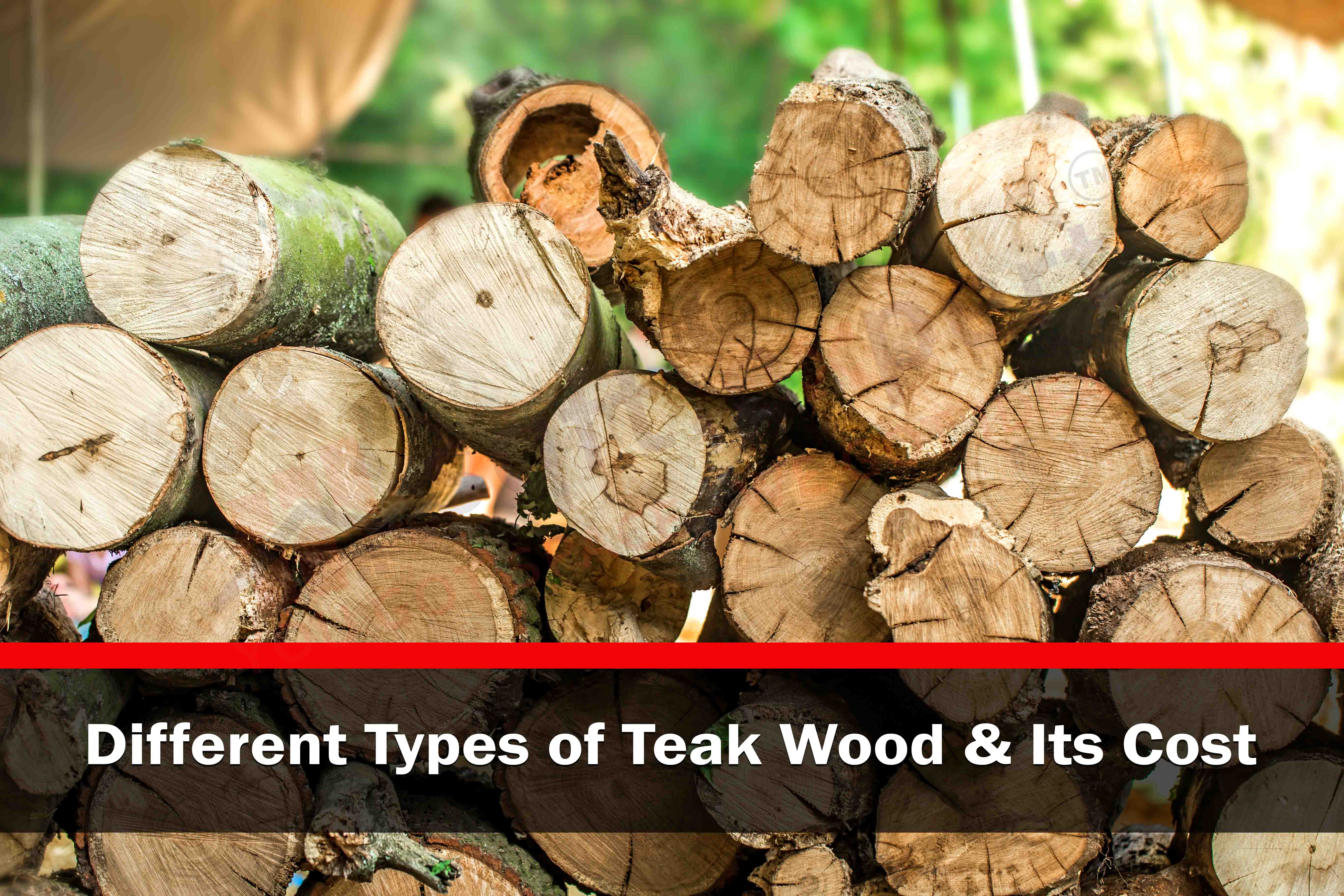 Different Types of Teak Wood & Its Cost